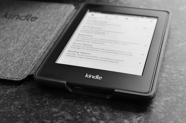 Amazon Kindle E-Books