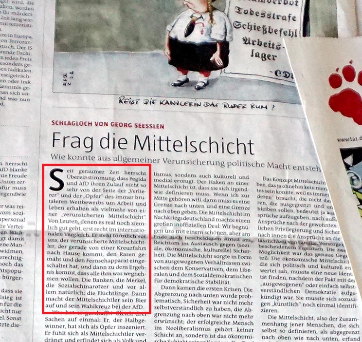 Mittelschicht-und-AFD